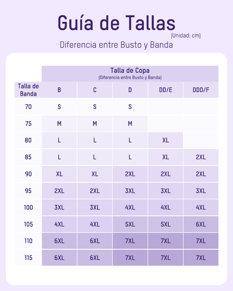 Brasier sin Varillas con Cierre Frontal y Moldeo 5D